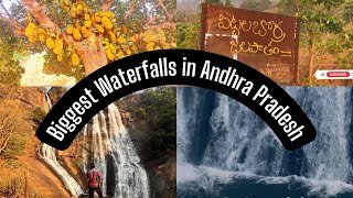 Tarabu Waterfalls  GunjivadaPittalaborra tarabuwaterfalls waterfall araku vizag nature viral [upl. by Zamir]