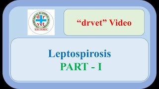 Leptospirosis Part 1 [upl. by Lyon]