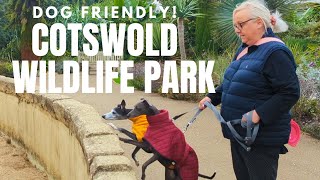 Cotswold Wildlife Park Dog Friendly [upl. by Dnob431]