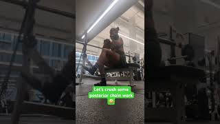 Posterior Chain Workoit workout posteriorchain totalbodyworkout fitness femalestrength [upl. by Kent222]