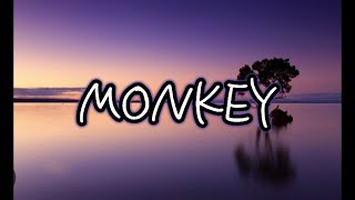 IShowSpeed  Monkey lyrics ishowspeed monkey trending lyrics music music [upl. by Yezdnil494]