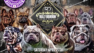 Bully Bourbon Bash 2024 Bully Dog Show [upl. by Cristiona]