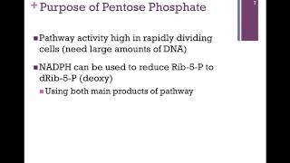 098Pentose Phosphate Pathway [upl. by Zea]