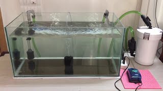 Akvaryum Dış Filtre Kutu Açılımıİnceleme  Aquarium Filter Review  Sunsun 603b aquarium [upl. by Aneertak]