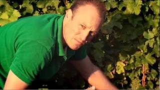 VTV Episode 1 of 7 quotThe Vineyardquot wine making in Marlborough New Zealand [upl. by Lebar]