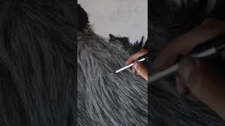 Drawing realistic fur using the indentation technique full tutorial on my channel realisticdrawing [upl. by Maillij]