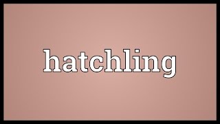 Hatchling Meaning [upl. by Haneekas]