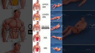 home core workout  abdominal exercises at home  sports viral [upl. by Hebel]