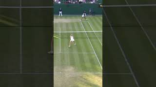 Venus Williams With a BRUTAL Backhand and Celebration 😤 shorts [upl. by Eilasor]