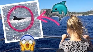 Hat sich das wirklich gelohnt  DELFINTOUR 🐬💦 [upl. by Broder]