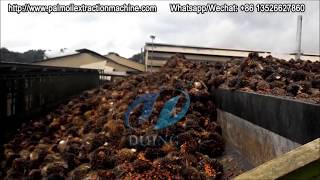 30tpd palm oil mill plantpalm oil processing plantpalm oil extraction process [upl. by Yeung]