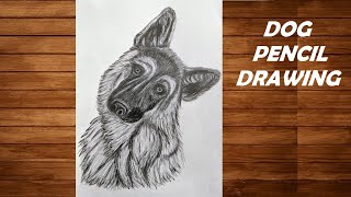 Dog Pencil Drawing  using indentation techniques  PraKritiArts Artwork Pencildrawing dog [upl. by Adroj]