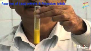 Reaction of Lead nitrate amp Potassium iodide [upl. by Rooker]