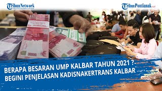 Berapa Besaran UMP Kalbar Tahun 2021 Begini Penjelasan Kadisnakertrans Kalbar [upl. by Ruhtra]