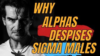 Why Alpha Males Hate Sigma Males Too Much sigmamale lonewolf sigmamindset sigma [upl. by Zigrang]