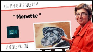 Monette  Time laps un chien réalisé aux pastels secs pour les cours en ligne [upl. by Assilat]