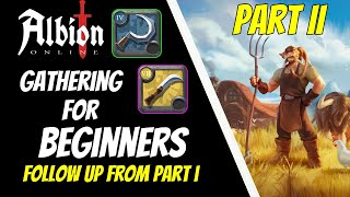 How to Gather Part 2 TIPS amp Tricks  Albion Online [upl. by Aneertak226]