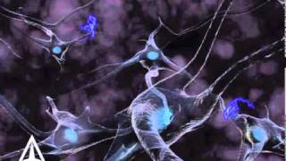 How Neurotransmission amp brain signals work  3D animation [upl. by Maribel]