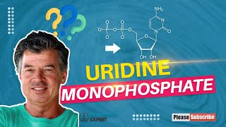 Uridine Monophosphate [upl. by Erlandson]