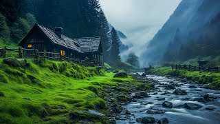 Beautiful Relaxing Music  Stop Overthinking Stress Relief Music Sleep Music Calming Music 43 [upl. by Ardnoyek854]