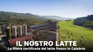 Il nostro latte  Reportage sulla filiera certificata del latte fresco in Calabria [upl. by Goodyear814]