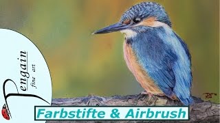 Eisvogel malen  FarbstiftTutorial [upl. by Lian]