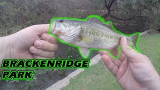 BRACKENRIDGE PARK Bass Fishing  High Pressured Fishing [upl. by Barlow300]