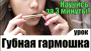 Как научиться играть на губной гармошке УРОК С нуля [upl. by Antonius]