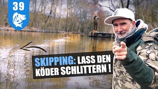 BAITCASTER 1x1 SKIPPINGTutorial  in der Schonzeit wird TRAINIERT [upl. by Bledsoe460]