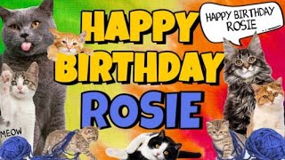 Happy Birthday Rosie Crazy Cats Say Happy Birthday Rosie Very Funny [upl. by Roth]