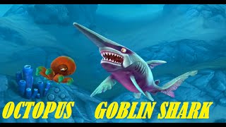 Goblin shark with Octopus   2  Level 3  Hungry Shark World [upl. by Nyliahs357]