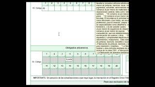 Como Actualizar RUT 2023 Persona Natural [upl. by Ahsiele]