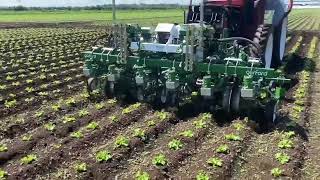 Garford Robocrop Inrow Weeder [upl. by Malo790]