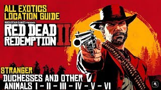 Red Dead Redemption 2 ★ Stranger Duchesses And Other Animals All Exotics Location Guide [upl. by Ardnyk174]