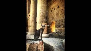 Cleópatra Edit egito كليوباترا egitoantigo egypt مصرالقديمة ancientegypt مصر cleopatra [upl. by Anthia]