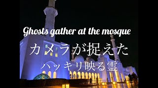 【恐怖】カメラが捉えた少女の霊（Ghosts gather at the mosque【Sheikh Zayed Grand Mosque】 [upl. by Thant]