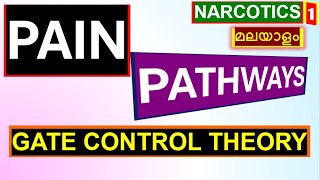 Pain Physiology Malayalam Pain Pathways Analgesics Malayalam Gate Control Theory Narcotic Analgesics [upl. by Beekman]