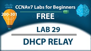 DHCP Configuration for Multiple VLANs  DHCP Relay  IP Helper Address  Lab28  Free CCNA 200301 [upl. by Aronas]