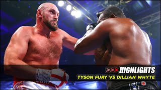 Tyson Fury vs Dillian Whyte Full Fight Highlights  Tyson Fury vs Dillian Whyte Highlights [upl. by Llednew]