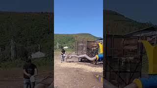 Self priming hay crusher Good tools and machinery can increase work efficiency [upl. by Aidnic]