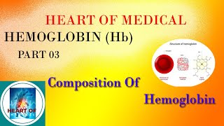 HEMOGLOBIN HbPart 03 Composition Of Hemoglobin [upl. by Naitsirk933]