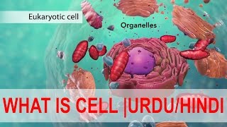 Introduction to Biology  what is cell in Urdu Hindi  Cells and Organelles  YT Academy [upl. by Siletotsira]