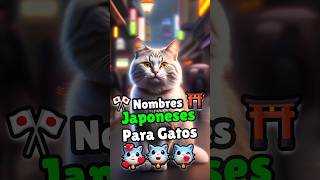 🐱👉 Nombres para Gatos en Japones  Bonitos y Originales 🐱🉑 [upl. by Michaeu]