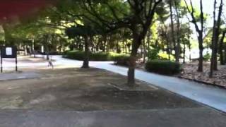 液状化幕張 liquefaction by earthquake on Japan 2011 [upl. by Siana35]