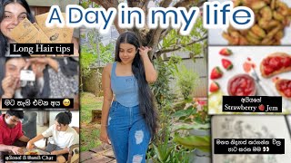 මාර්තු මාසේ Day Vlog එක🩵 අයියාගෙ කෑම 🤫 දුකට ArtTherapy😭 Hair Tips  මගේ ෆුල් දවසක් dayvlogs [upl. by Mosora150]