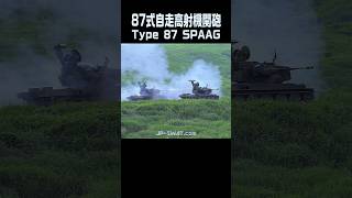 【戦車以外の地上目標を一掃】対地水平射撃で15km遠方の標的を粉砕する87式自走高射機関砲（87AW）35mm機関砲 実弾射撃 陸上自衛隊｜Japans Type 87 SPAAG Firing [upl. by Aiva467]