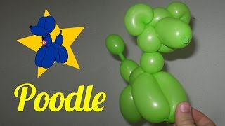 Como fazer um Poodle de balões [upl. by Krucik]