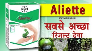 Bayer Aliette FungicideFosetyl ALTrue Systemic Fungicide [upl. by Rushing]