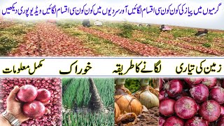 Onion farming in Pakistan  pyaz ki fasal  pyaz ki kasht in Pakistan  pyaz ki kheti [upl. by Marin129]