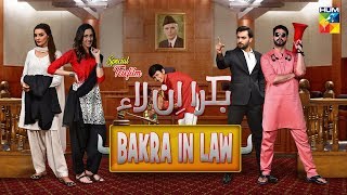 Bakra In Law  HUM TV  Telefilm [upl. by Atwater]